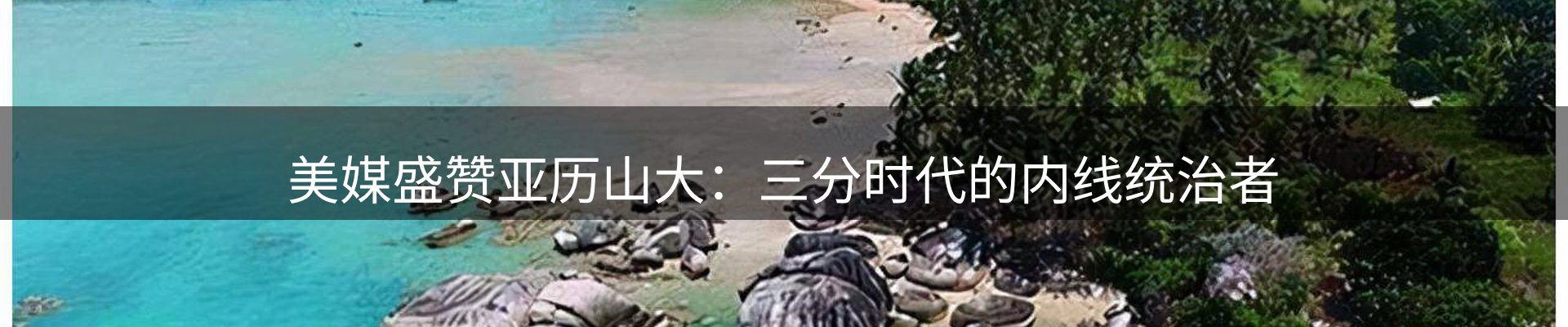 最新动态
